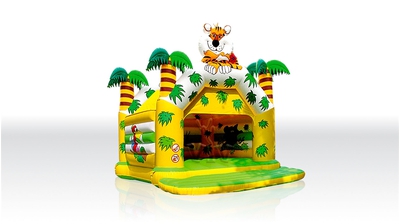 Замок «Джунгли» с крышей